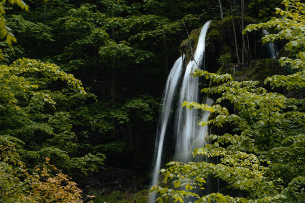 istock Beautiful view of a waterfall in the forest 1466973006