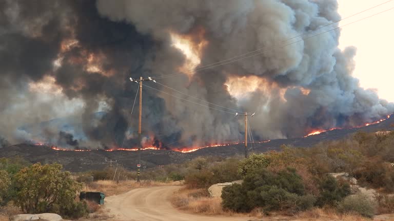 Panorama Shot of burning wildfire with dark smoke in California during high temperatures in climate change - water bomber plane flying around