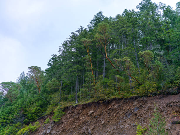 After a heavy rain land erosion in progress