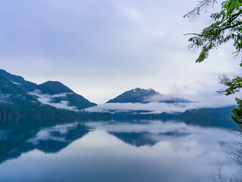 Silhouettes of pointy tree tops on hillside along mountain lake in dense fog. Reflex of pines to calm water of highland lake. Alpine tranquil landscape at early morning. Ghostly atmospheric scenery.