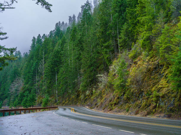 istock Scenic Country Roads, Washington State 1466974601