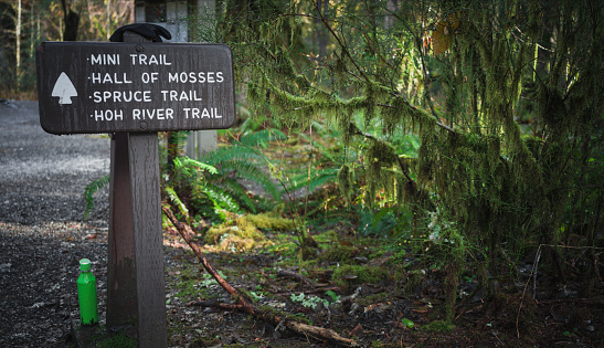 Trail sign at Hoh Rainforest, Olympic National Park, Washington State, United States