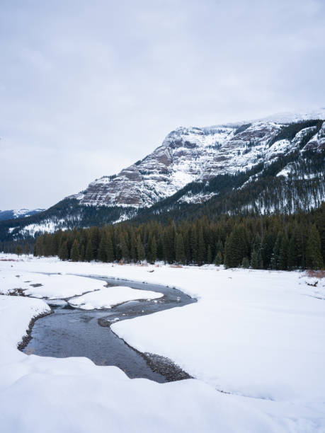 istock Mesmerizing Snowcapped Yellowstone Landscape 1466974736