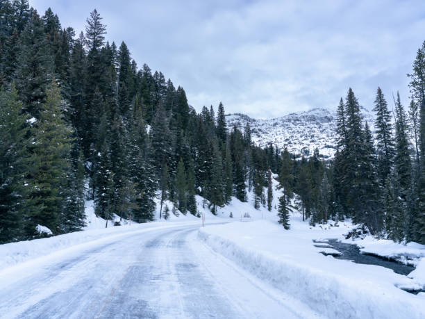 istock North Yellowstone Winter Road Trip during Deep Winter 1466974744