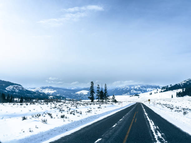 istock North Yellowstone Winter Road Trip during Deep Winter 1466974758