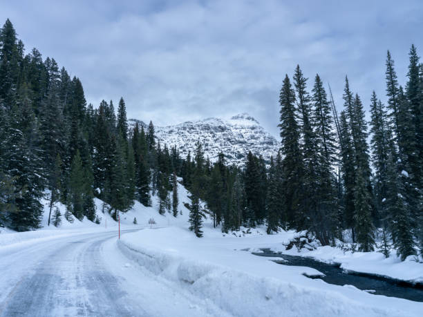 istock North Yellowstone Winter Road Trip 1466974759