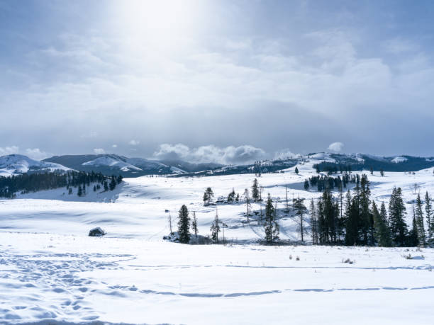 istock Yellowstone Winter Wonderland 1466974776