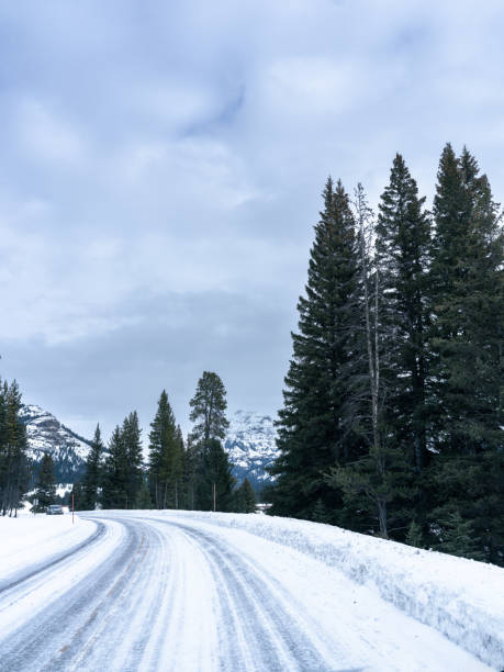 istock North Yellowstone Winter Road Trip during Deep Winter 1466974780