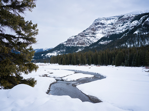 Medium format camera captured image of Snowcapped Yellowstone Mountains and frozen river