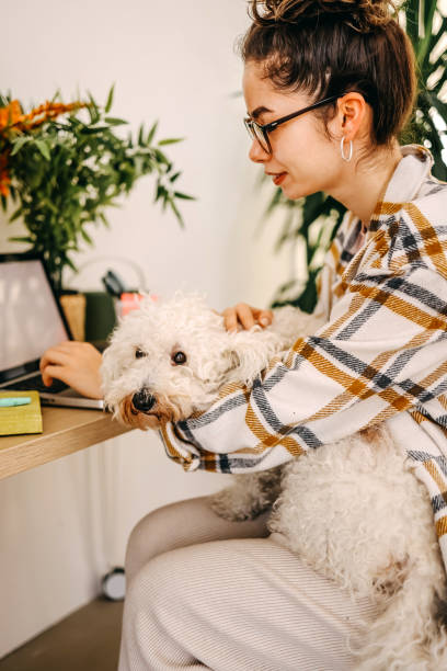 istock Woman working from home 1466983551
