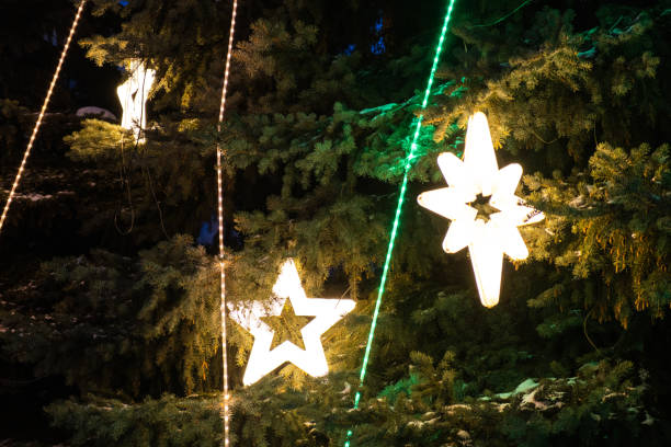 istock Large Christmas garlands on Christmas trees. 1466983572