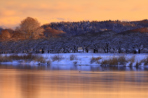 sunrise snow scene