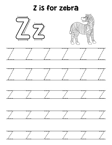 Zebra Animal Tracing Letter Abc Coloring Page Z Stock Illustration ...