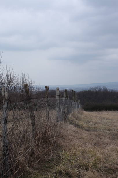 istock Old wire fence, dry grass in winter, cloudy sky 1466993858