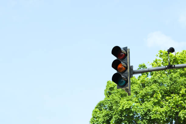 istock Traffic light near trees against cloudy sky 1466997077