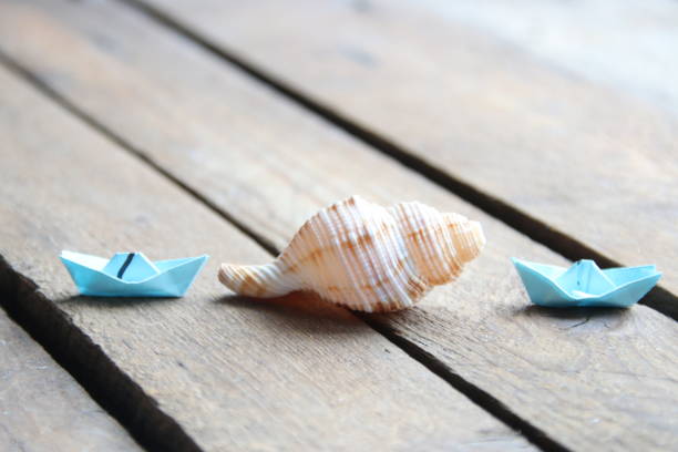 istock Summer background. Seashell on a wooden background. 1466999747