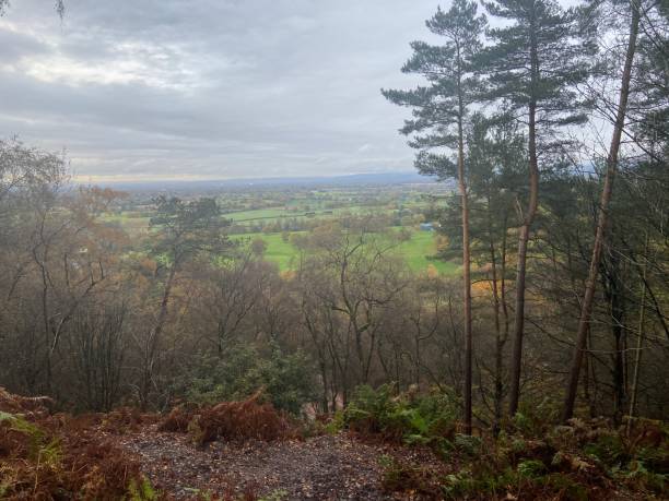 vistas do alderley edge - alderley edge - fotografias e filmes do acervo