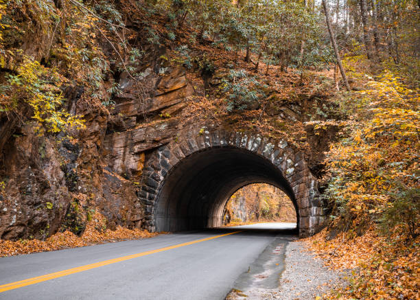 túnel de montaña - great smoky mountains great smoky mountains national park leaf autumn fotografías e imágenes de stock