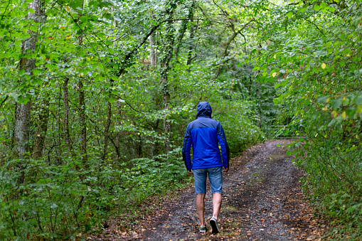 Basque country, Spain. Rear view of man in raincoat and jean shorts walking in the rain on bushy forest path