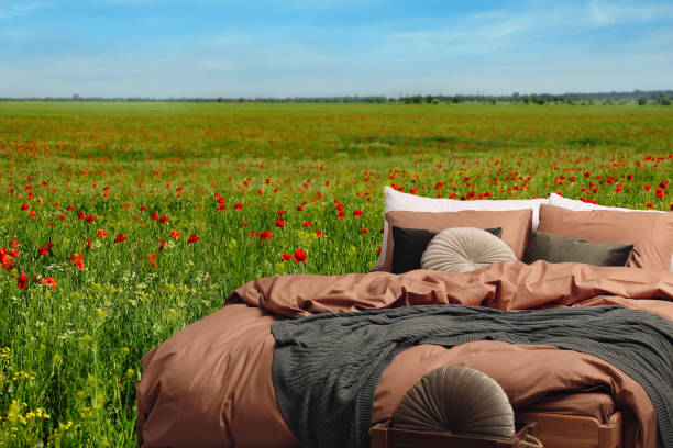 istock Comfortable bed with soft pillows in in poppy field on sunny day 1467009921