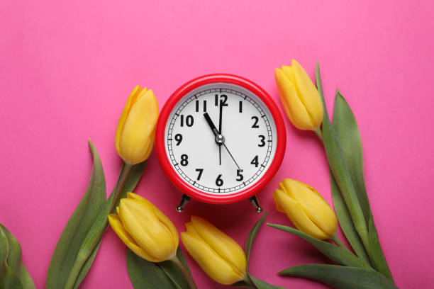 istock Red alarm clock and beautiful tulips on pink background, flat lay. Spring time 1467012564