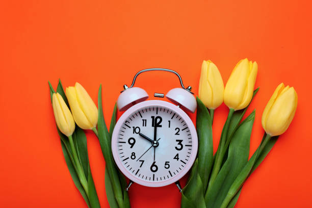 istock Pink alarm clock and beautiful tulips on orange background, flat lay. Spring time 1467013046
