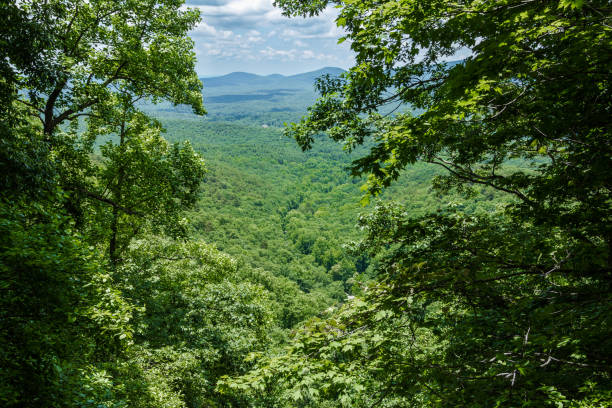 istock View through overgrown trees out onto rollings hills valley 1467014720