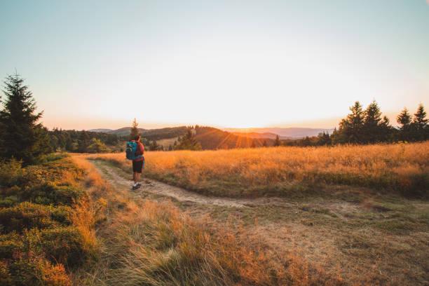 istock Traveller with a blue backpack on his back walks towards his unforgettable experiences in Beskydy mountains, Czech republic. Sunset illuminating a clearing 1467016631