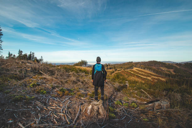 Traveller with a blue backpack on his back walks towards his unforgettable experiences in Beskydy mountains, Czech republic. Morning sun illuminating a clearing