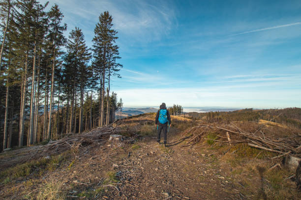 istock Traveller with a blue backpack on his back walks towards his unforgettable experiences in Beskydy mountains, Czech republic. Morning sun illuminating a clearing 1467016998