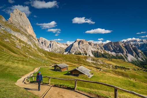 One hiking woman walking up path on high altitude alpine meadow on sunny day in the dolomites, seceda mountain massif