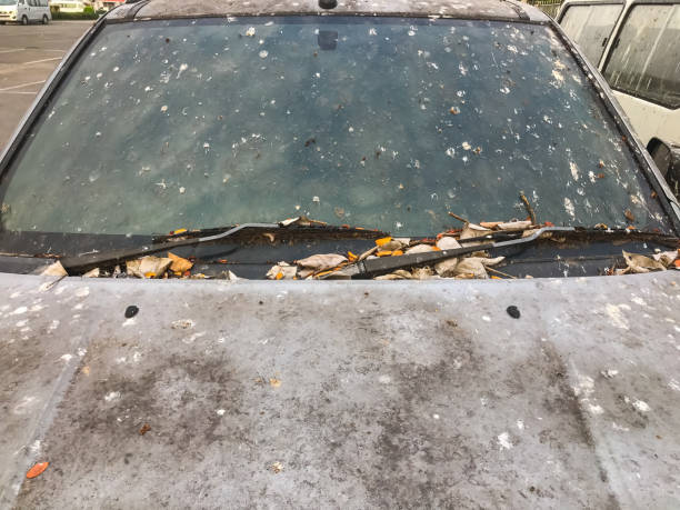 istock Abandoned car in the parking lot. 1467024956