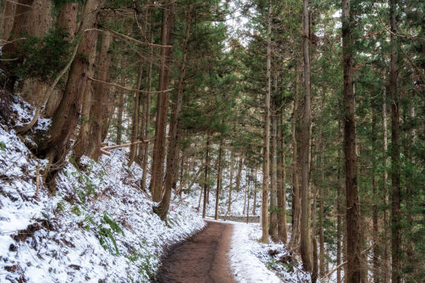 istock Yumichi walkway in winter 1467030680
