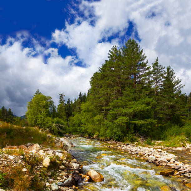 istock river rushing through the mountain valley, natural travel landscape 1467033224
