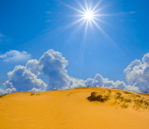 sandige deser dune unter glitzernder sonne, sommerliche wüstenlandschaft - friable stock-fotos und bilder