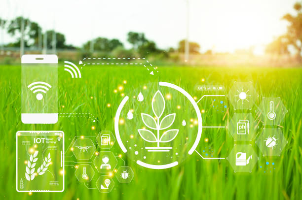 istock concept, use of technology to help manage, analyze, control agricultural production, IoT 1467037364