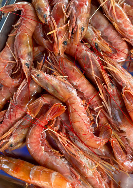 istock Large red shrimps on market stall 1467037424