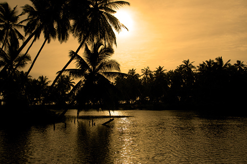 Sunset over the jungle in Kerala, India