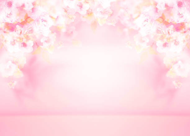 Spring summer blurred light pink background with shadow of the tree leaves and flowers on a wall. Abstract Spring Summer scene for product presentation.