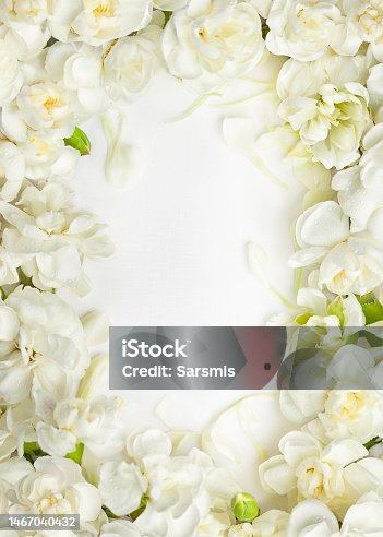 istock Floral frame made of White Dianthus Flowers. Top view, copy space. 1467040432
