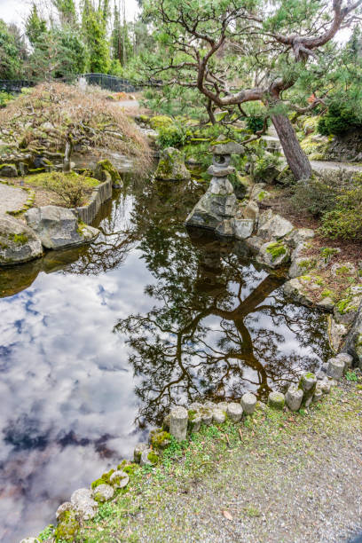 istock Japanese Garden Winter Reflection 4 1467042522