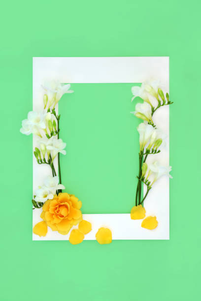 istock Rose and Freesia Flower Background Border Composition 1467043414