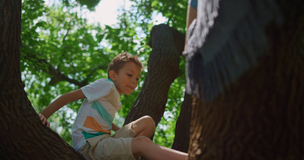 istock Active boy climb tree in park close up. Brave child sitting on high branch. 1467046508