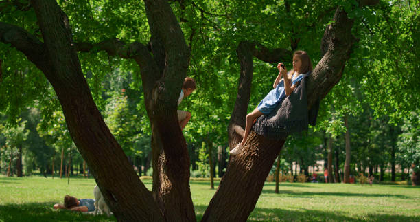 istock Joyful children sitting tree on picnic. Cute siblings play on wide branches. 1467046593