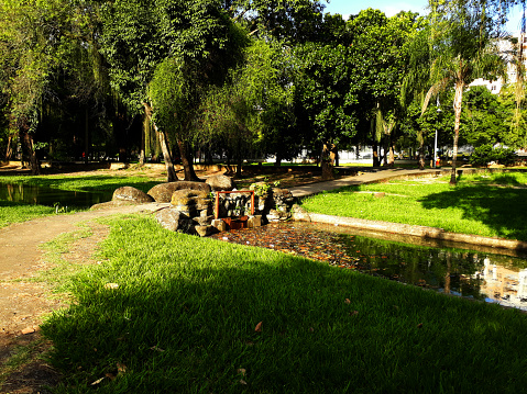 Quinta da Boa Vista, São Cristovão Park, photograph taken in 2020 in Rio de Janeiro