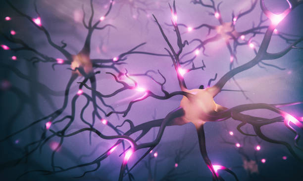 istock Visualization of neurons and neural network with signals 1467052207