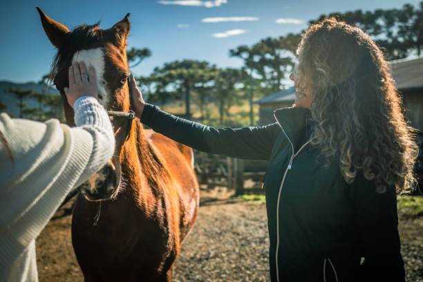 istock woman grooming horse 1467054109