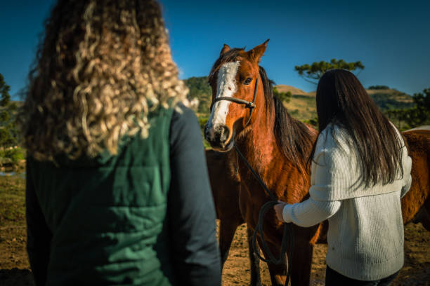 istock female friends analyzing horse 1467054110