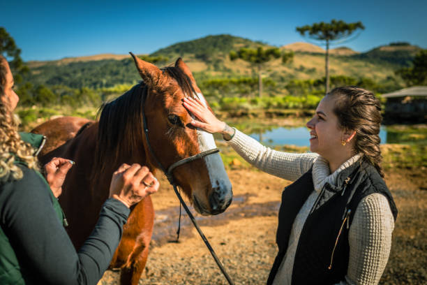 istock friends grooming horse 1467054137