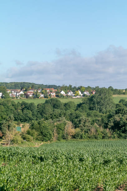 istock Housing Development near Horton Kirby in Kent, England 1467054241
